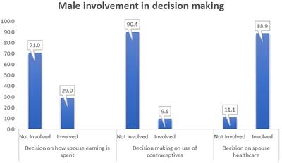 Influence of intimate partner violence and male involvement on maternal healthcare services utilisation in Nigeria